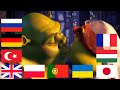 Shrek Kissing Fiona In 10 Different Languages