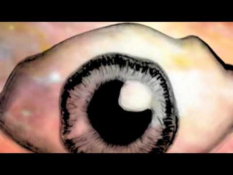 Videoclip de Undersea — The Church