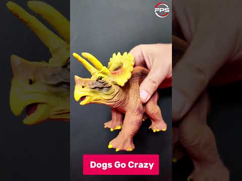 Squeaky Toy Sounds That Make Dogs Go Crazy 🐶 #shorts #dogsounds
