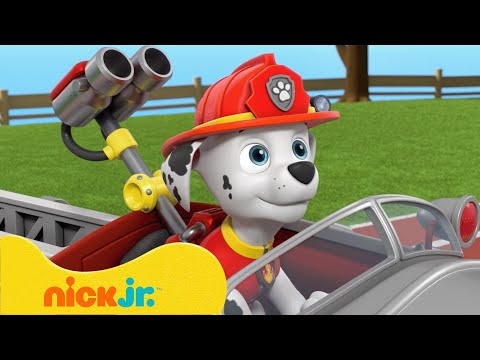Capa de Patrulha Canina | Melhores Momentos da 8ª Temporada da Patrulha Canina! 🐶 (Parte 2) | Nick Jr.