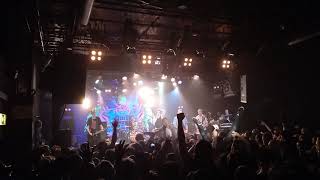 Die Toten Hosen - Kauf mich (live am 07.11.2018 im SO36, Berlin)