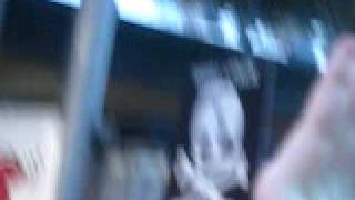 Short Stack Singing One Step Closer