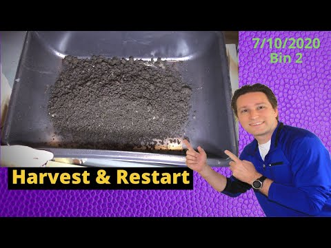 10 Gallon Worm Bin 2 Harvest and Restart 07/10/2020