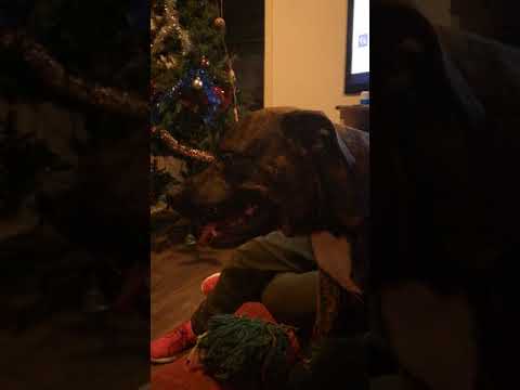 25 december 2017 kerst