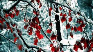 OST Who Are You - Only Once, My Love - Lee Seung Hwan (단 한번 내 사랑 - 이승환)