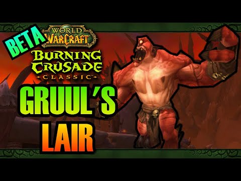 Gruul's Lair Testing - WoW: Burning Crusade Classic BETA