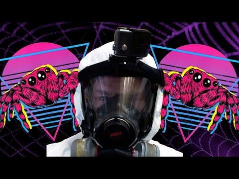 The unimaginable spider infestation of Beanmeister 22