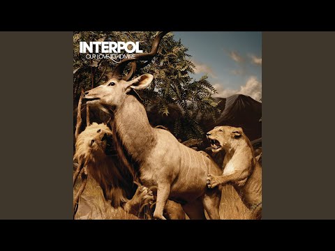 Videoclip de Who Do You Think — Interpol