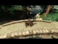Skyblivion Cyrodiil gameplay