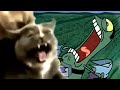 VICTORY SCREECH