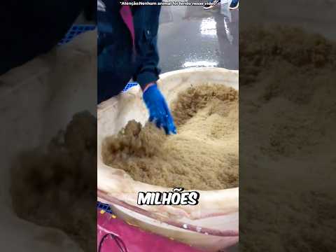 Ele Comprou VÁRIAS Criaturas! #curiosidades #incrível #animal