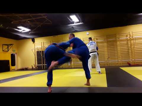 Relacja | Przygotowania do egzaminu na brązowy pas w Judo