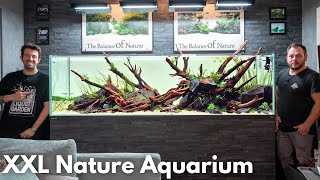 XXL High-End Nature Aquarium – Liquid Garden 240P eingerichtet!