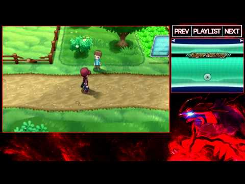 Pokemon Y: Part 31 - Route 14