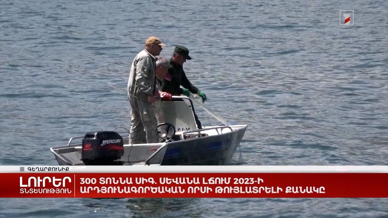 300 տոննա սիգ. Սևանա լճում 2023-ի արդյունագործական որսի թույլատրելի քանակը