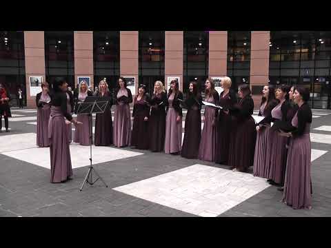 Divinum Wallachian Choir - Ach synku, synku (Evropský parlament)