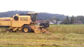 preview picture of video 'Žetev industrijske konoplje Hemp harvesting Ljubljana Sostro Slovenia'