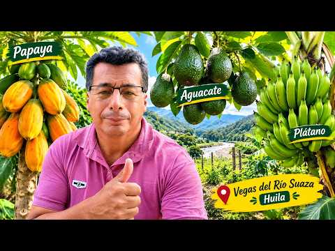 Así es una Finca Productiva en las Vegas del Río Suaza, Huila
