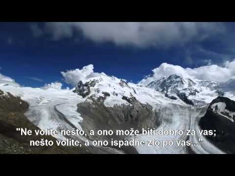 Ne gubi nadu u Allahovu milost ┇Snaga dove┇Šejh Bilal Assad