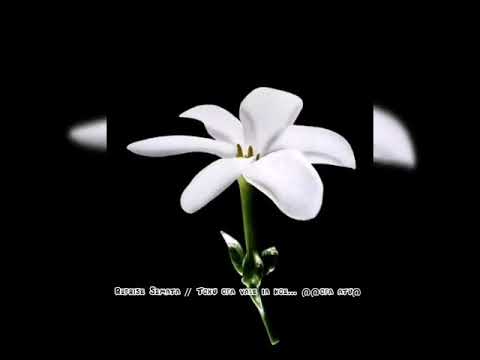 Reprise Semata // Toku ofa vale ia koe... @@ofa atu@@