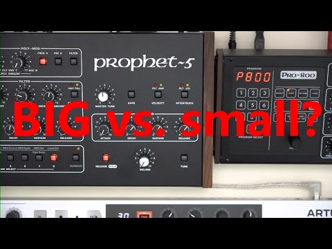 PRO-800 vs. Prophet-5: David and Goliath?