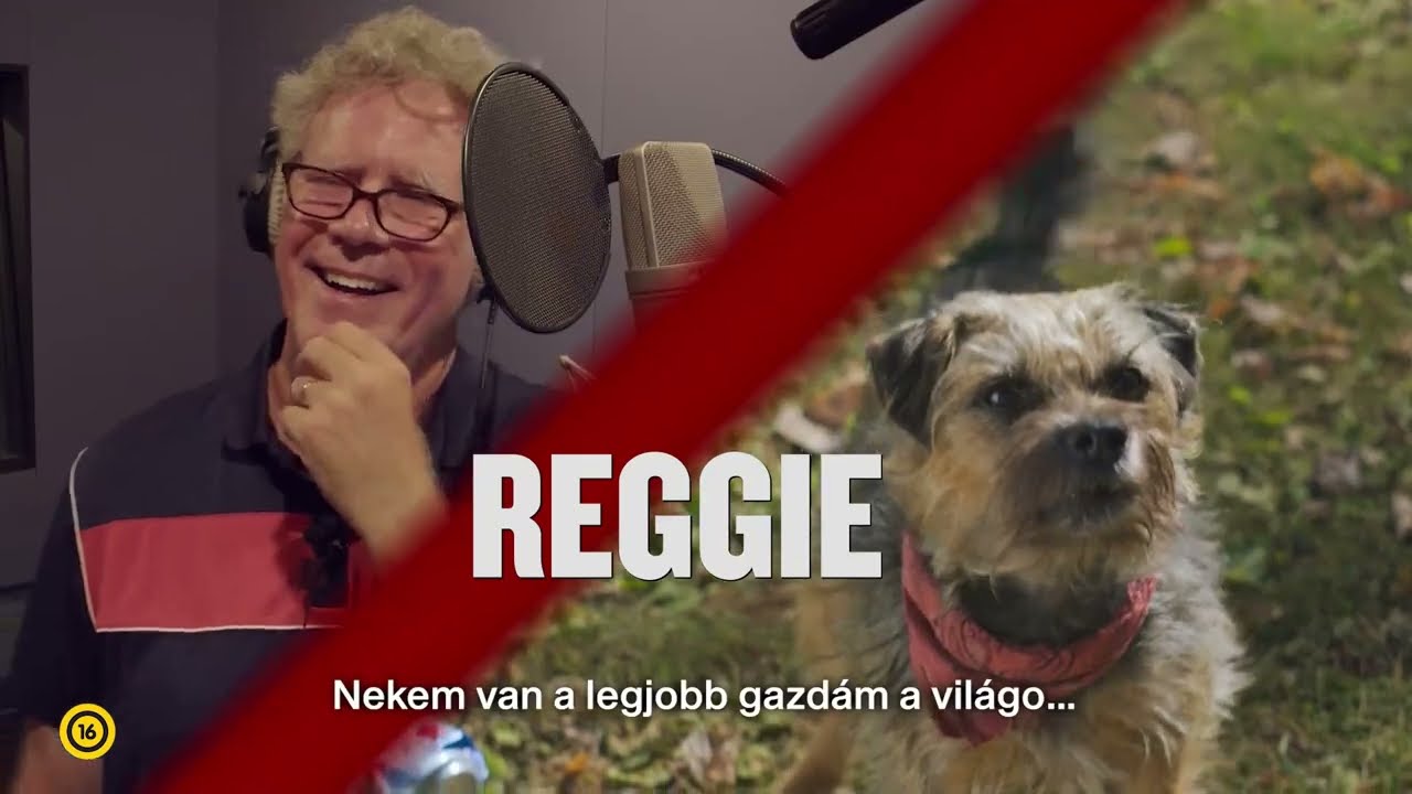 Kivert kutyák - Káromkodó kutyák - A kamerák mögött