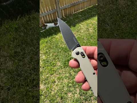Am I seeing double? My Kershaw Knives Magnacut Bel Air knife & my puppy, Kershaw! 🐾👀