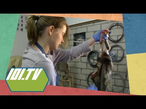 Je Zal Er Maar Werken - Emma zet dieren op