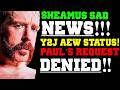 WWE News Sad Update On Sheamus Chris Jericho S AEW Future Clarified WWE Bans Logan Paul AEW News