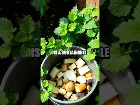 Affordable Gardening Hacks for Urban Dwellers