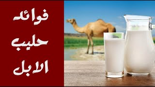 اكتشاف قدرة حليب الابل على خفض سكر الدم وتطلعات لأستخدامة ضمن الخطط العلاجية