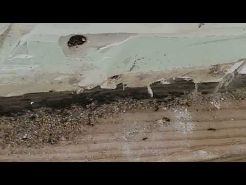 Ants Infest the Basement of Business in Farmingdale, NJ