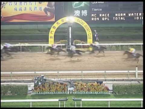 2017-02-24 Macau Meeting Race 4(0162) - THE DALLAS