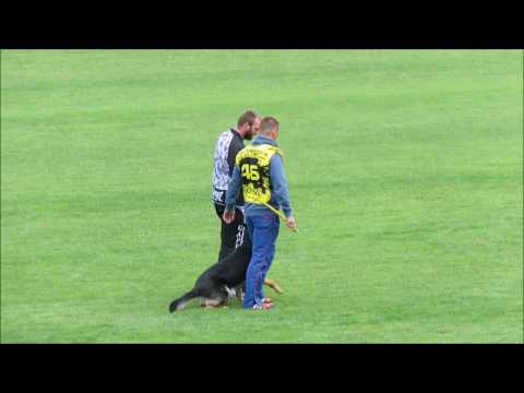 2016 Czech Nationals   Marek Cerny with Extreme Orex Aykmar  Protection