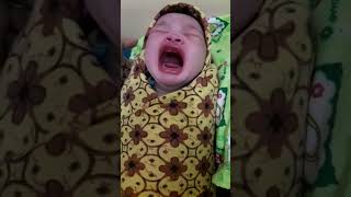 Download lagu Menggemaskan.! Bayi baru lahir nangis kejer, lebar banget mulutnya 😁 #shorts #newborn mp3