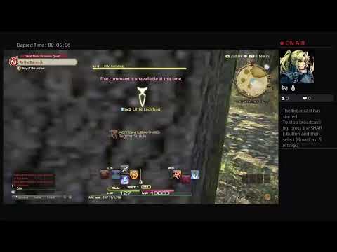 Final Fantasy XIV Archer Hunting Log Guide Rank 1