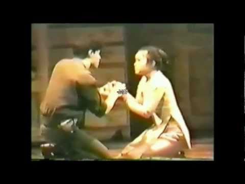 The Last Night of the World