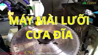Máy mài lưỡi cưa đía tự động Trung Quốc Woodmaster WM-600SB. Mài lưỡi từ 120mm đến 600mm.