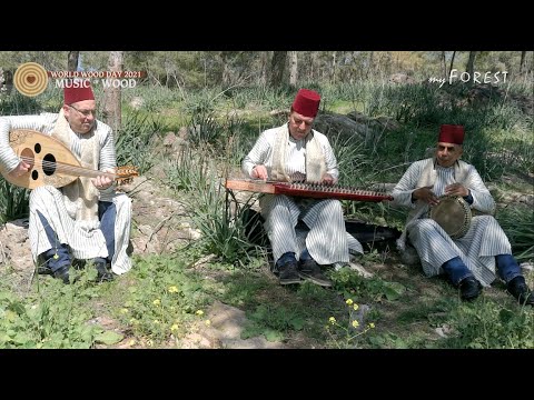 WWD 2021 Music of Wood - myForest - Sultans of Tarab - Outdoor performance