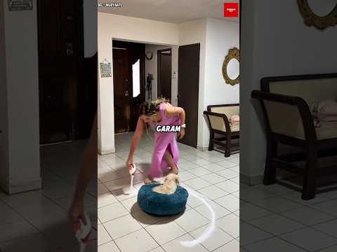 Cewek itu Curiga Anjingnya Adalah Skin Walker