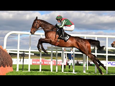 FINAL DEMAND oozes class at Punchestown