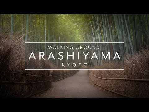 Walking around the Arashiyama Bamboo Forest in Kyoto | Japan Walk 4k