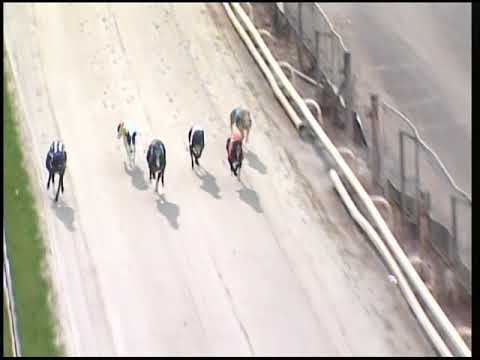 2017 GEORGE CARRIGILL MEMORIAL - HEAT 2 - T1 DROOPYS LIVE