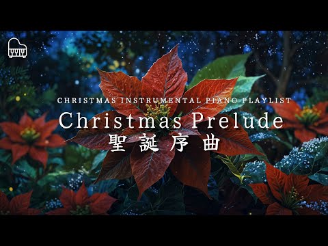 【Christmas Prelude｜聖誕序曲】Soft Christmas Piano Playlist for Season Greeting l 銀雪覆映世界，和暖旋律伴隨佳節