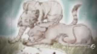 squirrelflight tribute