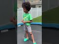 Chasing Dragonflies Over The Trampoline