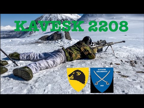 KAVESK DIMMEFILM 2208 - PATRULJE/SKARPSKYTTERTROPPEN - PANSERBATALJONEN