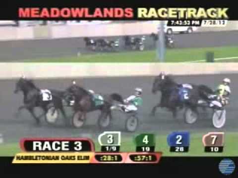 Hambletonian Oaks 1st Heat 2012 -Check Me Out