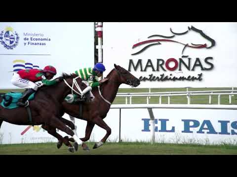 211204 c07 ARROGANTE