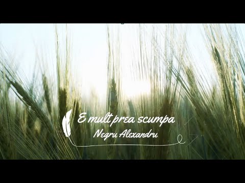 Negru Alexandru-E mult prea scumpa viata asta